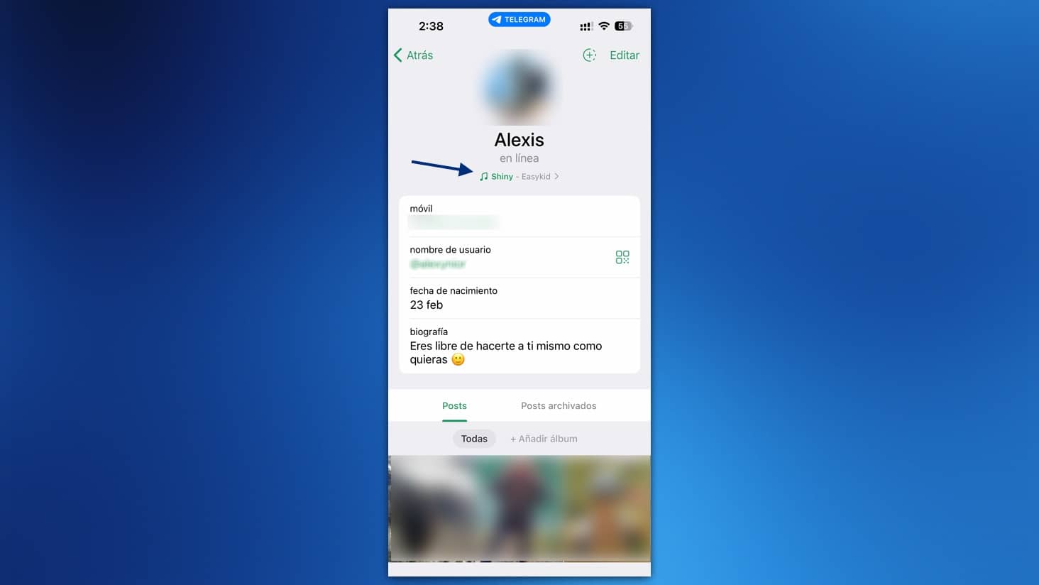 Captura de perfil Telegram con estado de canción "Shiny" de Easykid. Aprende a personalizar tu perfil.